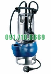 Bán Máy Bơm Nước Thả Chìm Pentax DH 100 G 2″ giá rẻ chính hãng