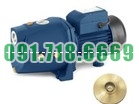 Bán Máy bơm nước bán chân không Kangaroo KG J1.1 giá rẻ chính hãng