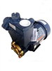 Bán Máy bơm nước RollSStar TP-240B giá rẻ chính hãng